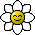 DAISY :DAISY: